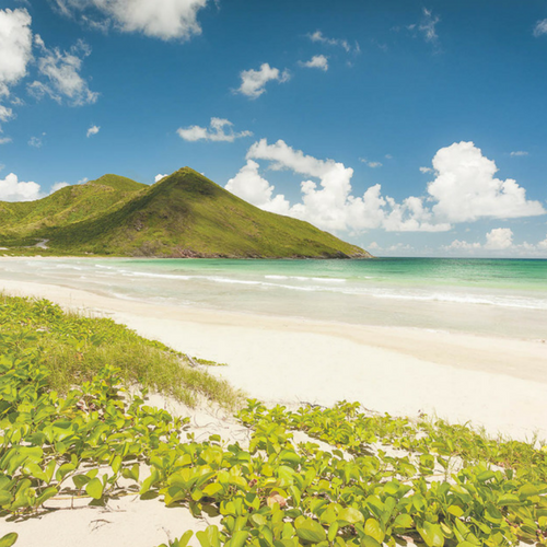 St Kitts and Nevis 
